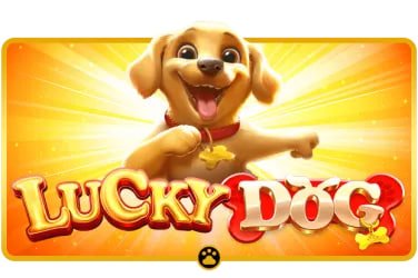 poker online